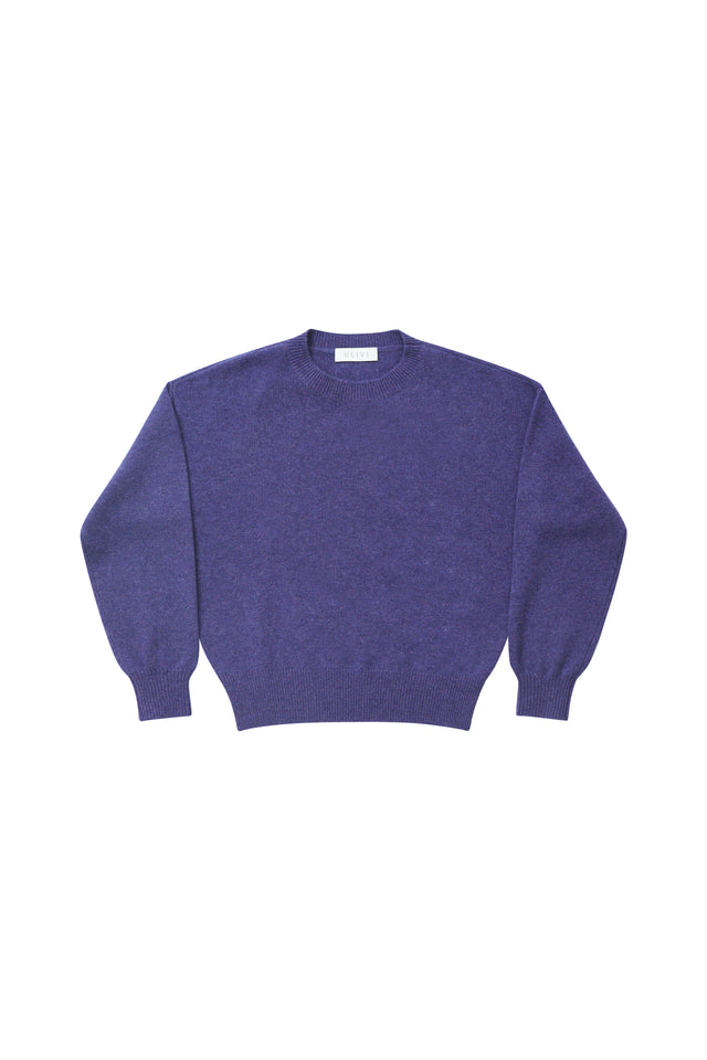 The Crewneck Knit